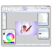 Установка Paint.NET