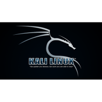 Установка Kali Linux